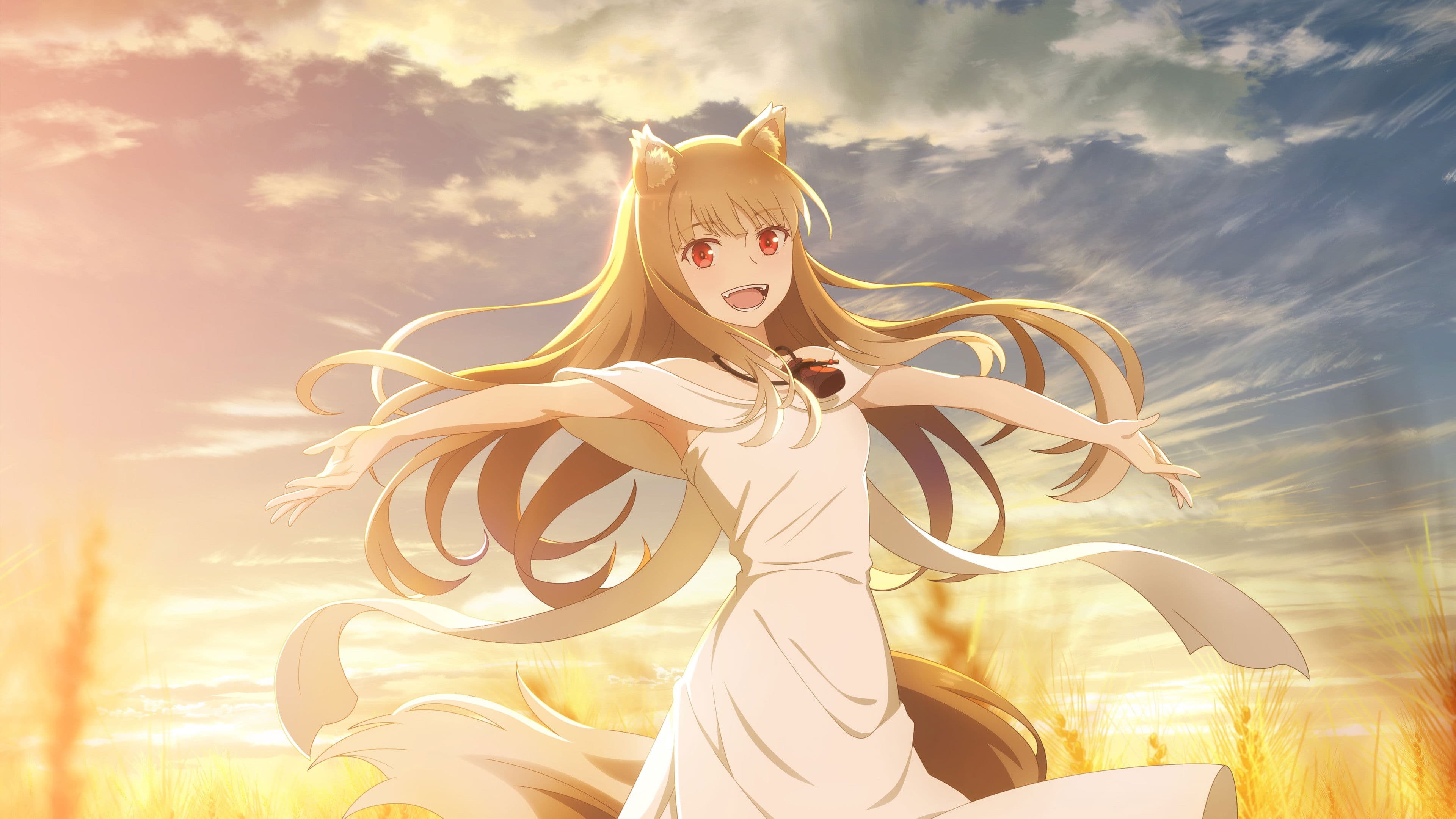 Spice and Wolf: MERCHANT MEETS THE WISE WOLF — imagem de capa