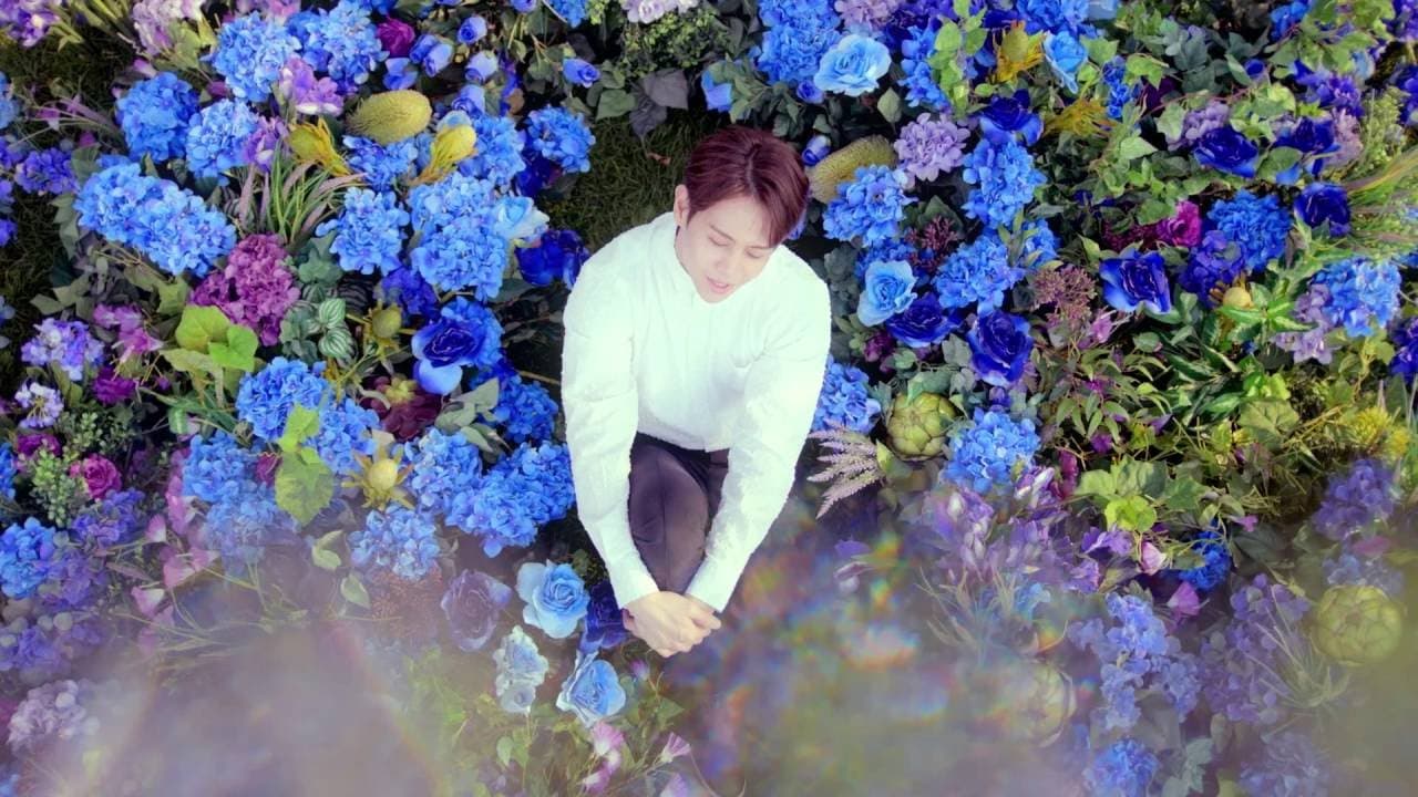 BEAST - Butterfly MV
