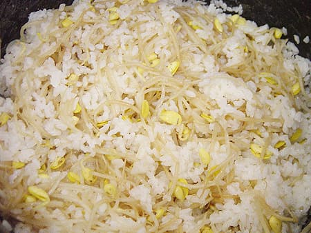 Kongnamul-bap (Arroz com Brotos de Feijão)