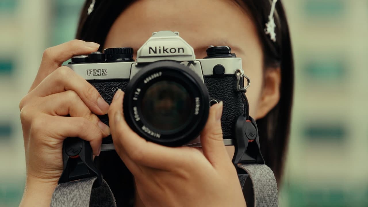 Summer’s Camera — imagem de capa