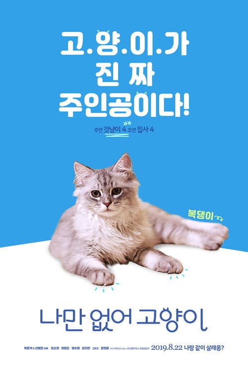 Hello, My Cat